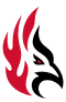 Carthage College